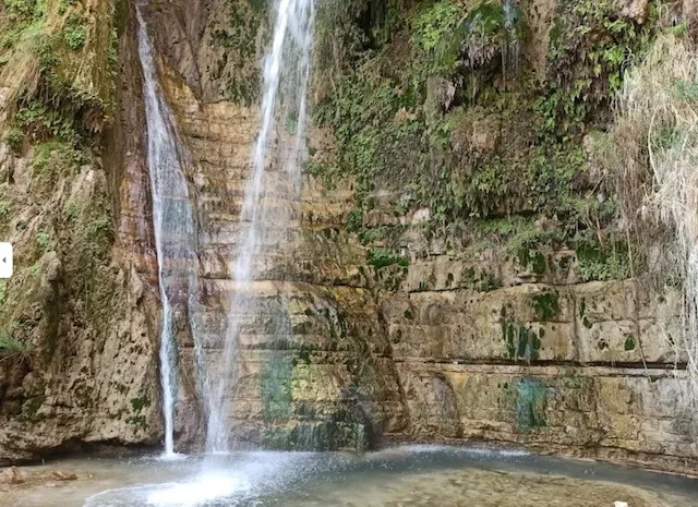 Serene waterfall with lush greenery